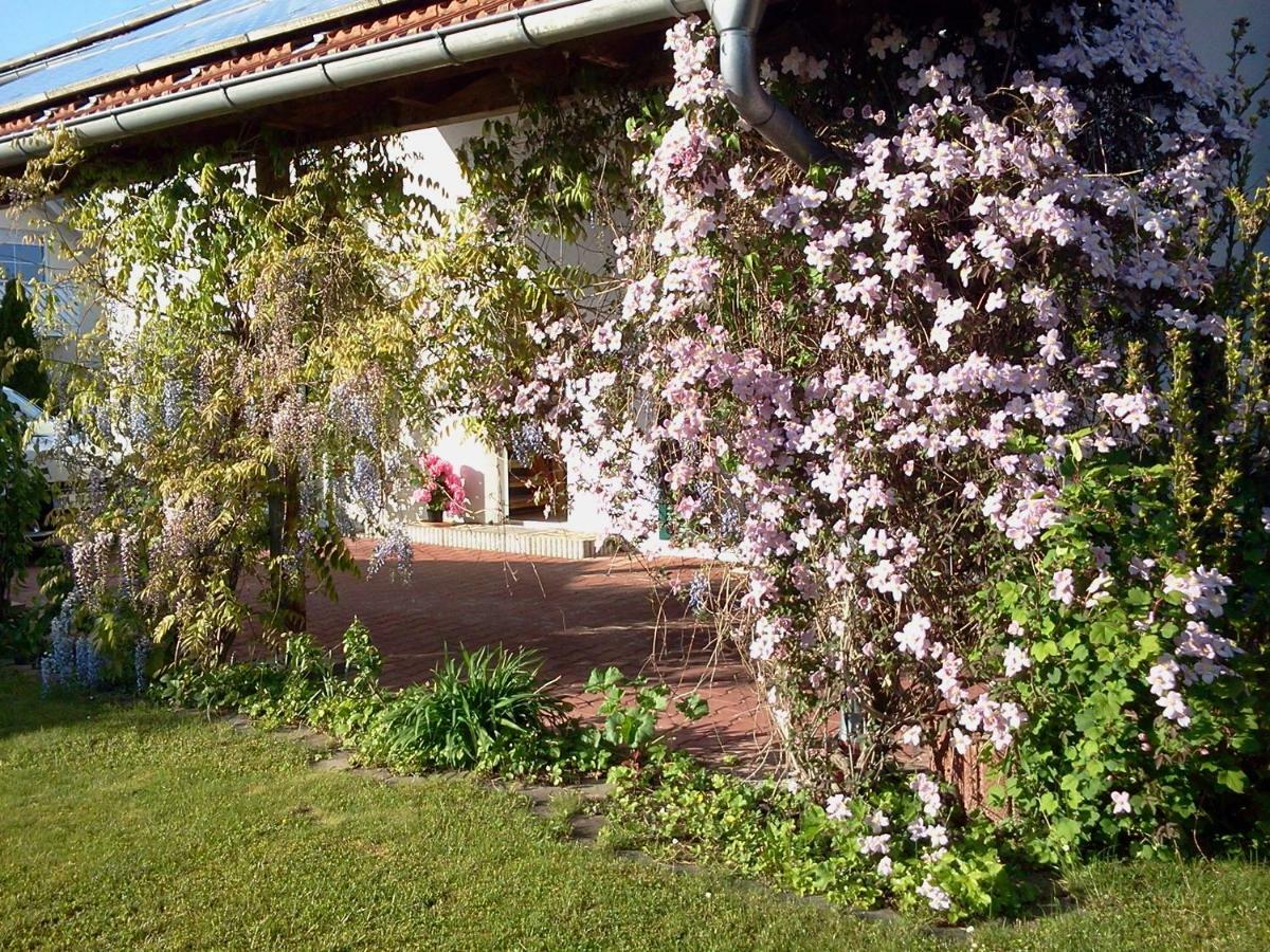 Ferienwohnung Buxheim  Kültér fotó